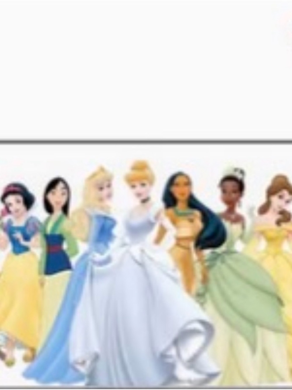 DISNEY PRINCESS WALL TAPESTRY